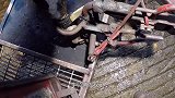 母牛牛蹄受伤，牛师傅刮开了三层牛蹄，全程看完强迫症无比舒爽