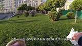 冰天雪地里，狗狗被拴在一根木桩上，发出凄惨微弱的声音呼救！