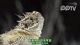 数码-瞎了我.眼睛喷血啊有木有！