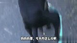今天带狗子出去遛弯，它一直不好好走路，难道是天气降温了