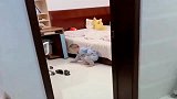 弟弟在姐姐房间闯祸了，一看姐姐进来撒腿就跑，真是太搞笑了