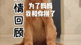 第二集来喽！没有奶茶解决不了的难题。