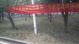 这是谁拉的横幅