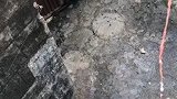 今天陪大熊喝点饮料！
