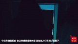 一只爱美的小海豚，在不停的照镜子，它知道那是啥