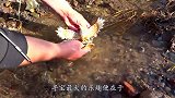 小伙雪地探险，意外发现怪物残骸，瞬间后背一凉！
