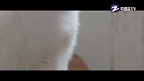 胡辣汤泡油条 味蕾会发光