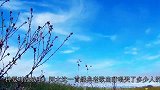 姑娘，攒够了失望，就放手吧