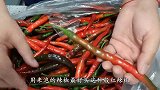 四川泡菜：传统四川泡菜腌制方法，泡辣椒不空心，不烂的小秘诀！