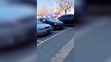 奇葩！吉林路边惊现花圈占停车位 网友：是个狠人