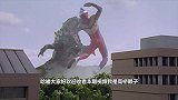 4位变小的奥特战士，雷欧用瓶盖当船，盖亚阿古茹却互相残杀！