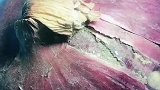 #瘦身小食铺