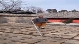 一招鲜，吃遍天！