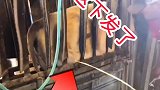 太不可思议了，竟然能喷这么远