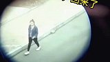 狗狗学会了用望远镜，每天在窗台看着路边，踩着点迎接主回家