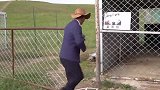 狼想攻击狼叔？一群狼偷偷来到背后，到处隐藏着危险