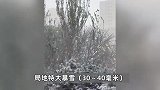 直击东北多地暴雪：大型扫雪车“火力全开”，市民不用走路全靠风吹