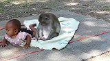 小宝宝想起来，猴子立马上去“帮忙”，小猴子太聪明了
