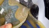 【鞋圈儿】强迫症鞋狗看了必疯！小伙将AJ11大灌篮水晶底撕掉