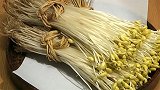 日本农民种植的“天价”豆芽，一斤卖到了140元，差距咋这么大