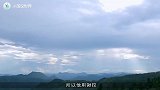 男子清除山林白蚁洞，却挖到了宝贝，难得一见真让人不可思议