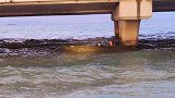 台风天苏州一男子太湖大桥跳湖 9级风浪上演生死营救