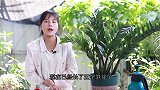 养金钱树，想让新芽长得多又壮，盆里撒一把灰更靠谱