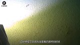 海底裂缝1万米处传出怪声，已维持20天，科学家感到担忧