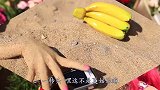 选美趣味挑战：春夏秋冬四位美女谁更美？颜狗的福利！