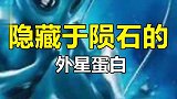 陨石中发现第一个已知外星蛋白，科学家对此感到费解