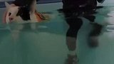 猫咪会不会游泳呢一起来看下猫咪学游泳