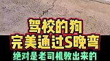 驾校的大黄狗也可以完美通过S弯