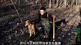 金毛在冰下发现个洞，小伙砸开冰后从洞里掏出两条鲶鱼，该咋吃？