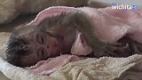 哦！现在的小猴宝被猴姐折磨过度