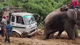 货车困在土公路上，男子叫来大象帮忙拉车
