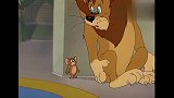 《猫和老鼠》狮子告诉老鼠不要让自己被发现，因为不想回到马戏团