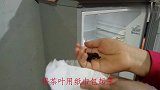 冰箱总是散发出异味怎么办只要一物快速去除冰箱臭味