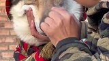 不是羽绒服穿不起，而是花棉袄更有性价比