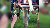 这是什么操作？穆勒挑战挤牛奶 球迷表示这种方式太拜仁了