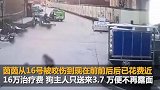 警方通报河南女童被狗撕咬1分钟：肇事犬捕杀 狗主人罚1万