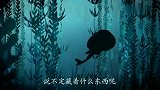 海底小纵队：小蜗牛不见了，卡西西顺着痕迹，在灰鲸背上找到他们