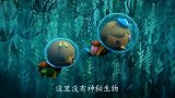 海底小纵队：小蜗牛不见了，卡西西顺着痕迹，在灰鲸背上找到他们