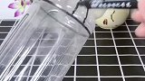 纸巾桶，看来真的什么东西都不要再丢，说不定那天要用