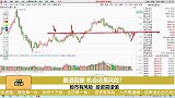 酿酒回暖，机会还是风险？