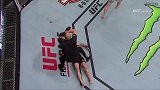UFC-17年-埃米特笼内采访-专题