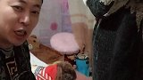 安慰安慰大毛，联络一下感情