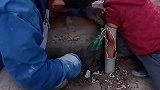 这回你还皮吧