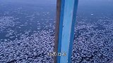 鱼漂浮在水面，往河道里仔细一看，人们似乎明白了原因
