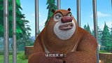 熊出没：熊大熊二再次联手，成功骗过了光头强，成功逃了出去！