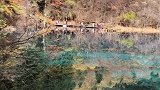 九寨归来不看水